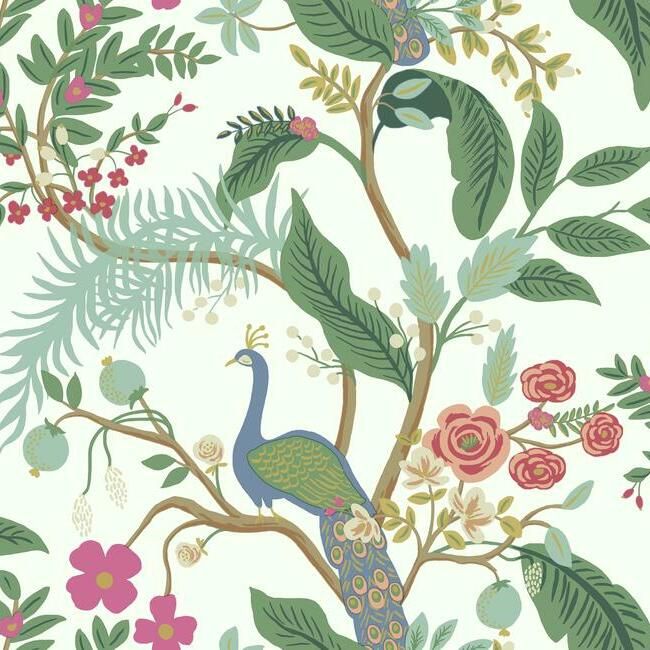 Peacock Rouge