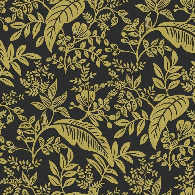 Canopy Gold&amp;Black