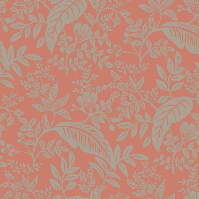 Canopy Rose