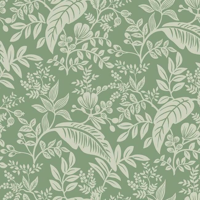 Canopy Sage