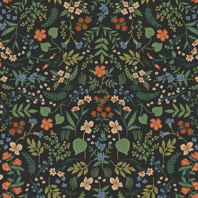 Wildwood Black Multi
