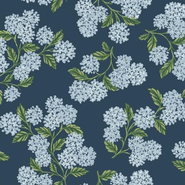 Hydrangea Navy