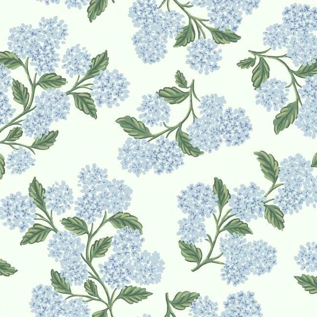 Hydrangea Blue&amp;White