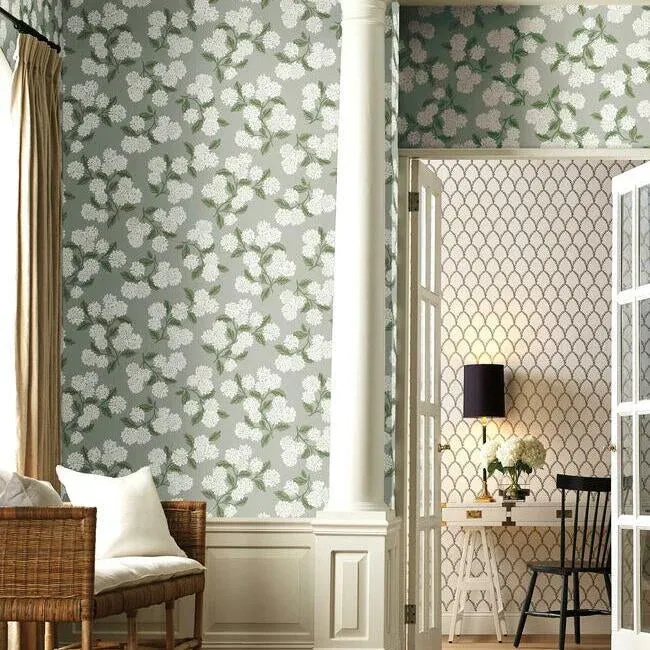 Hydrangea Grey