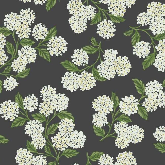 Hydrangea Black&amp;White