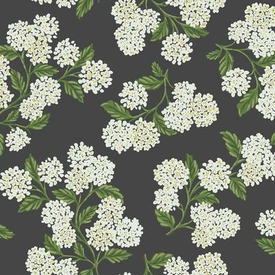 Hydrangea Black&amp;White