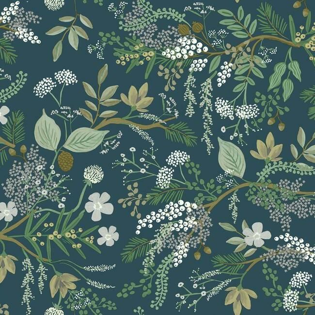 Juniper Forest Evergreen