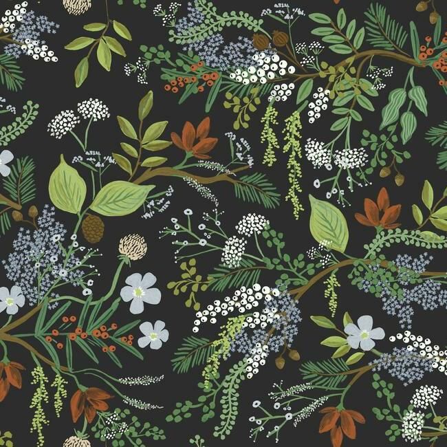 Juniper Forest Black