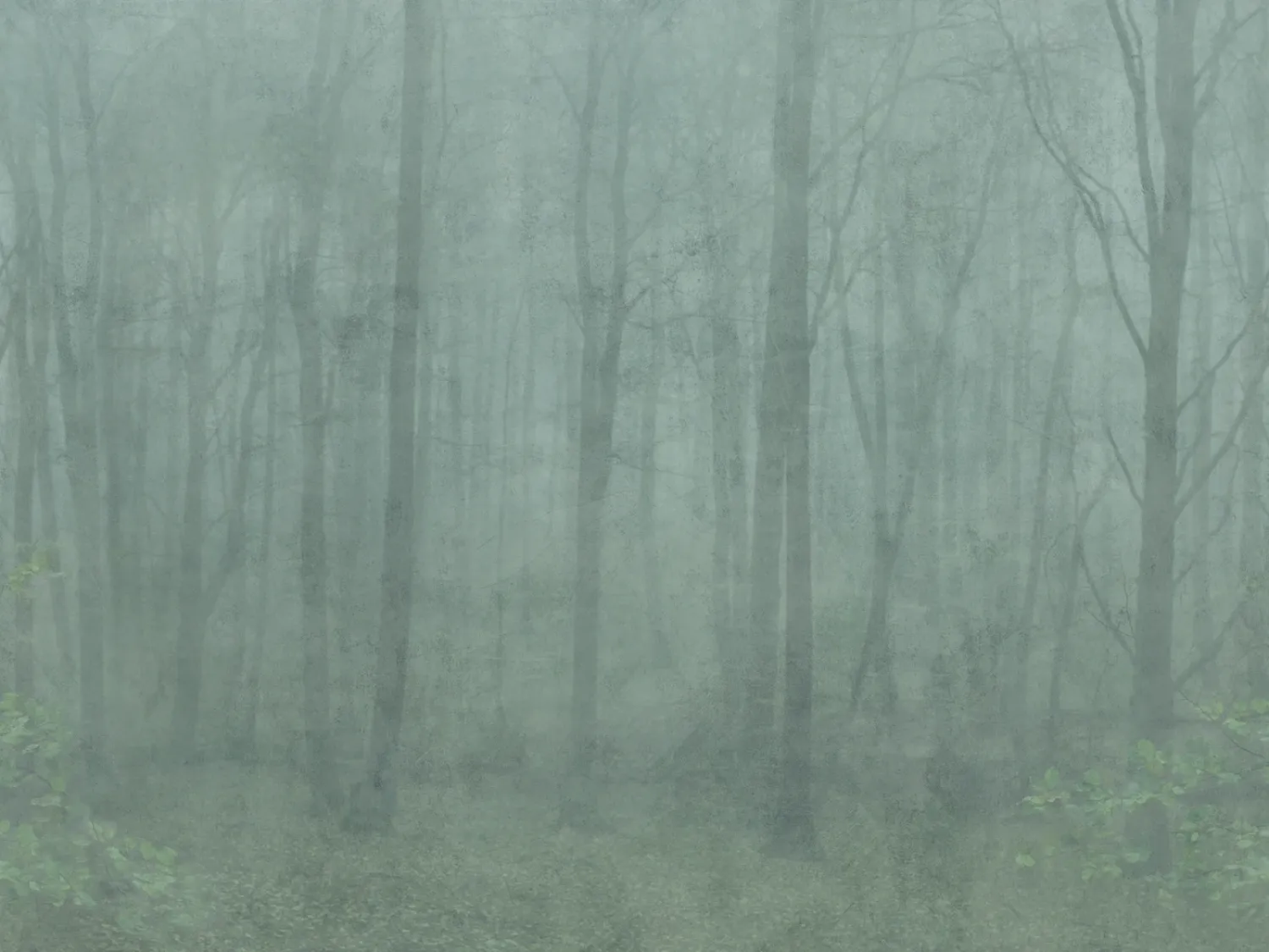 Skog forest green