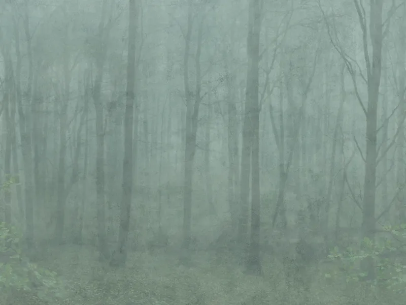Skog forest green