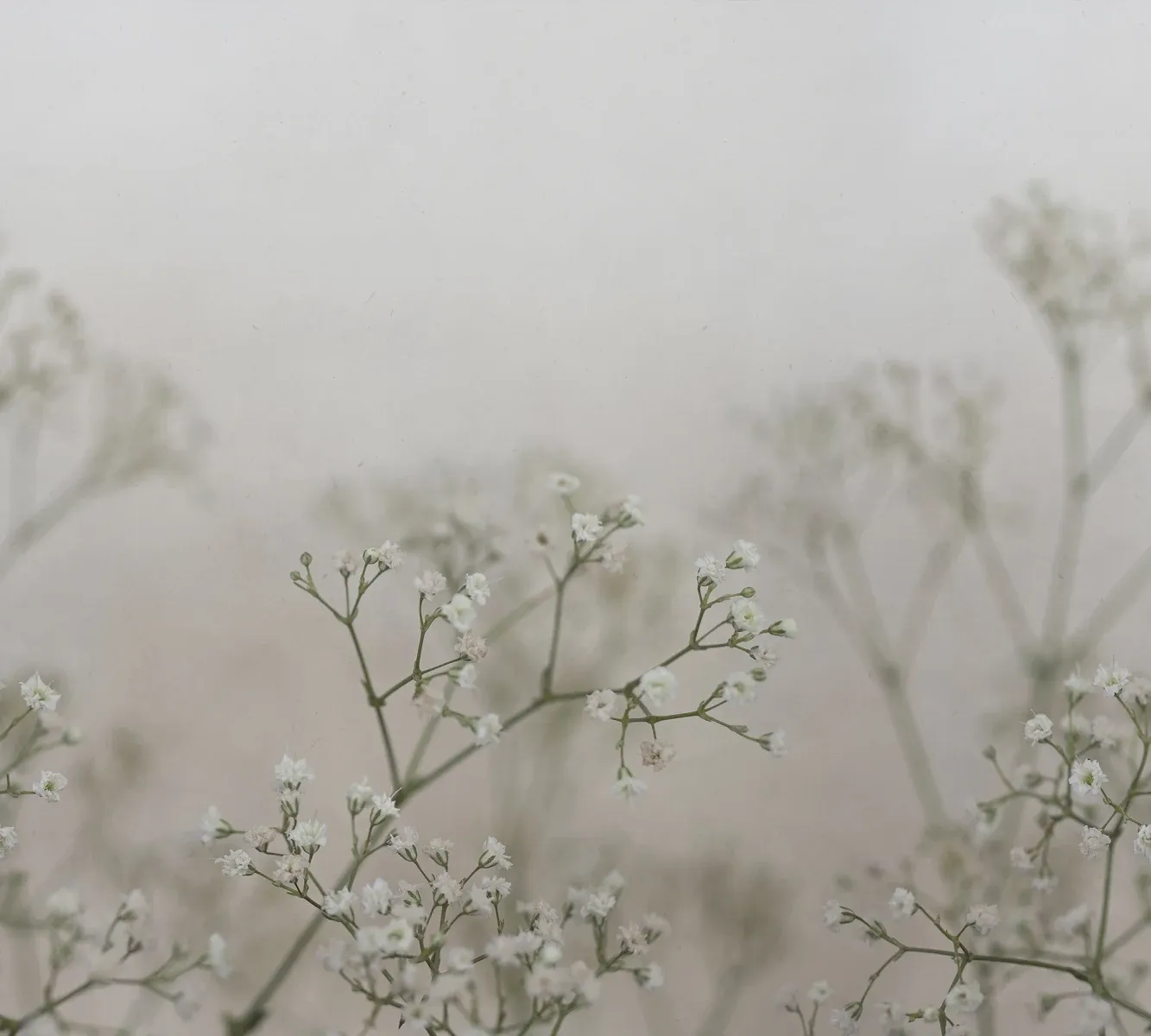Julia spring green