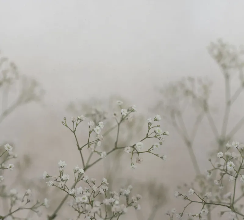 Julia spring green