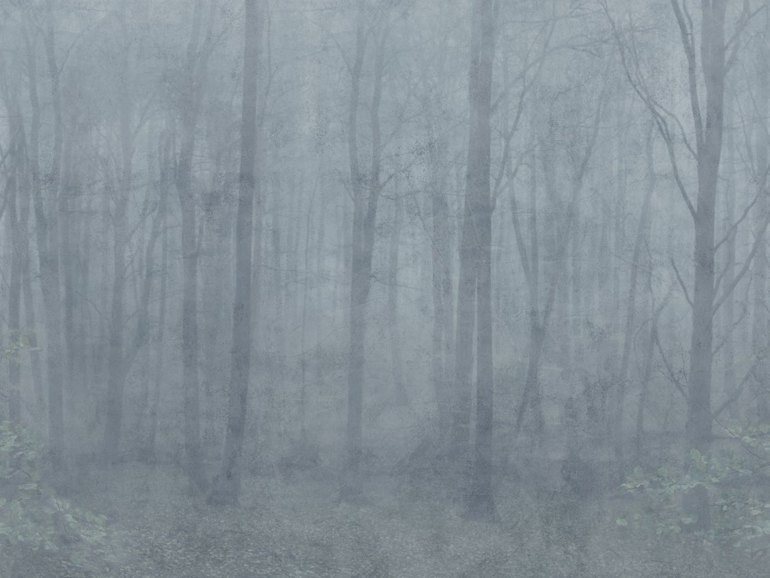 Skog misty blue