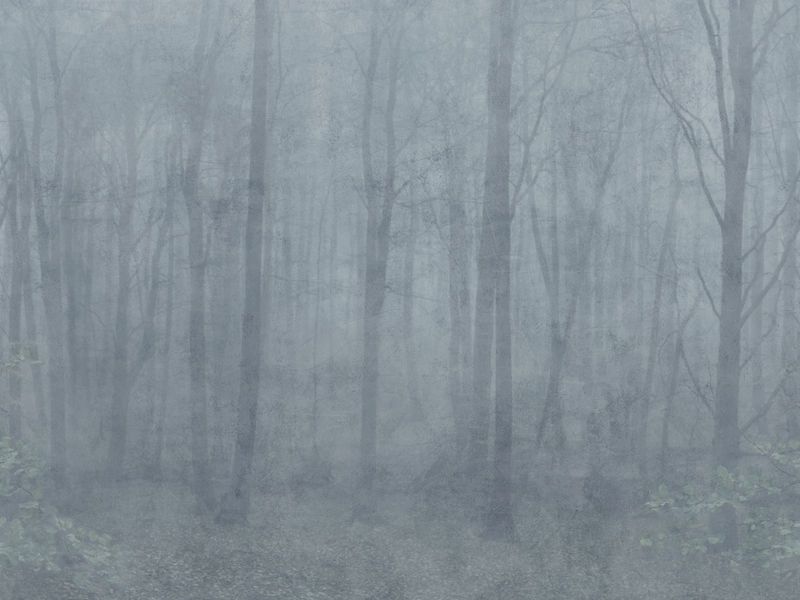 Skog misty blue