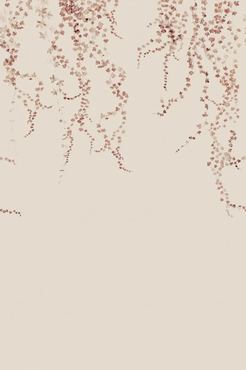 Aralia, Burgundy