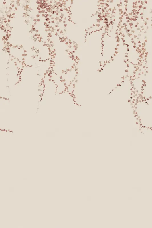 Aralia, Burgundy