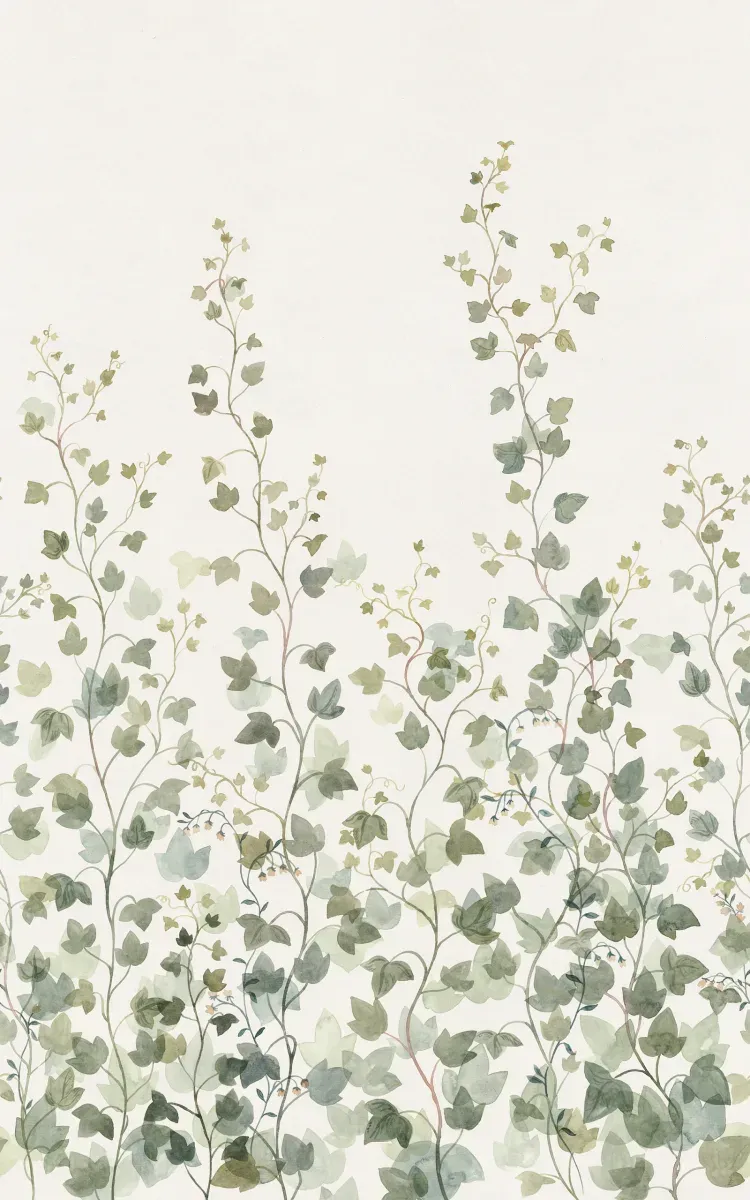 Ivy, Green