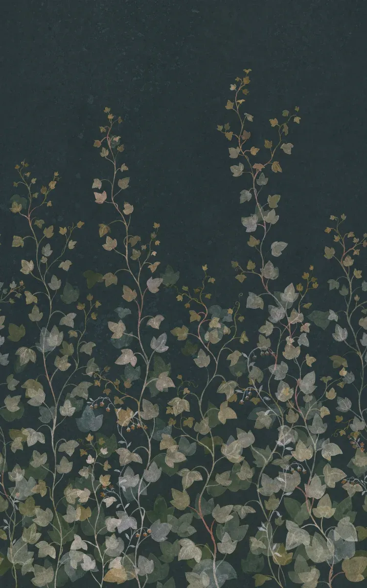 Ivy, Midnight Blue