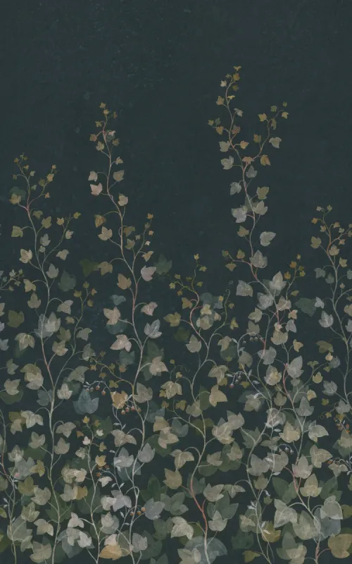 Ivy, Midnight Blue