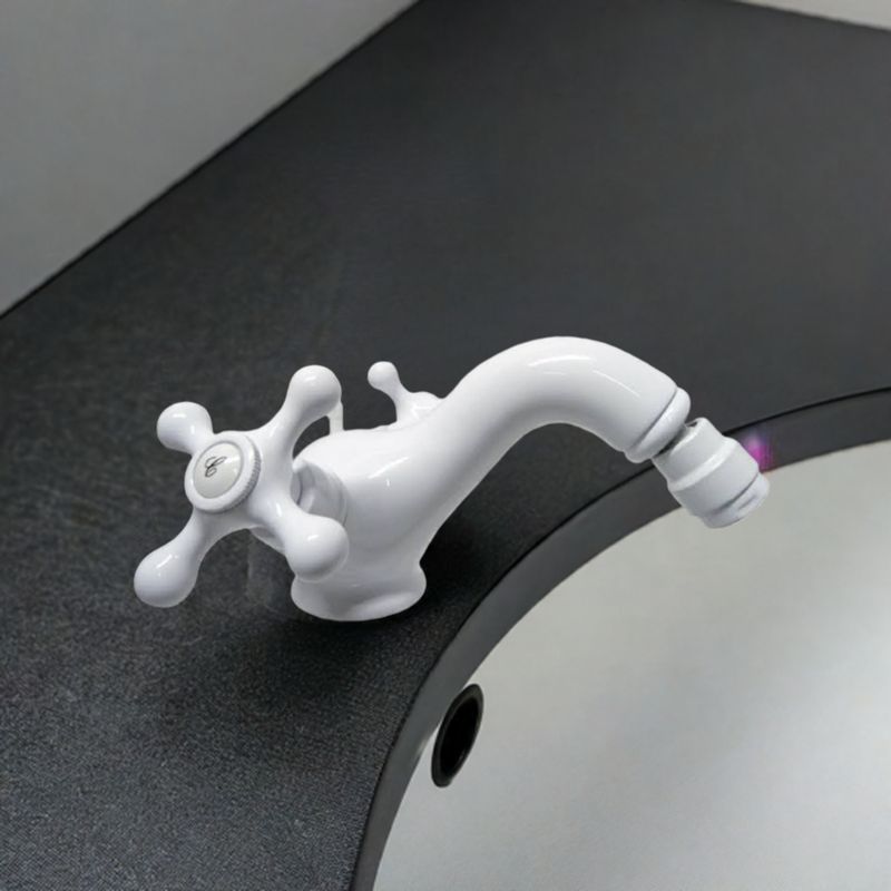 Lujo monobloc bidet