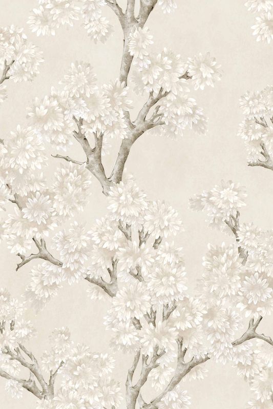 Field-Maple Bone