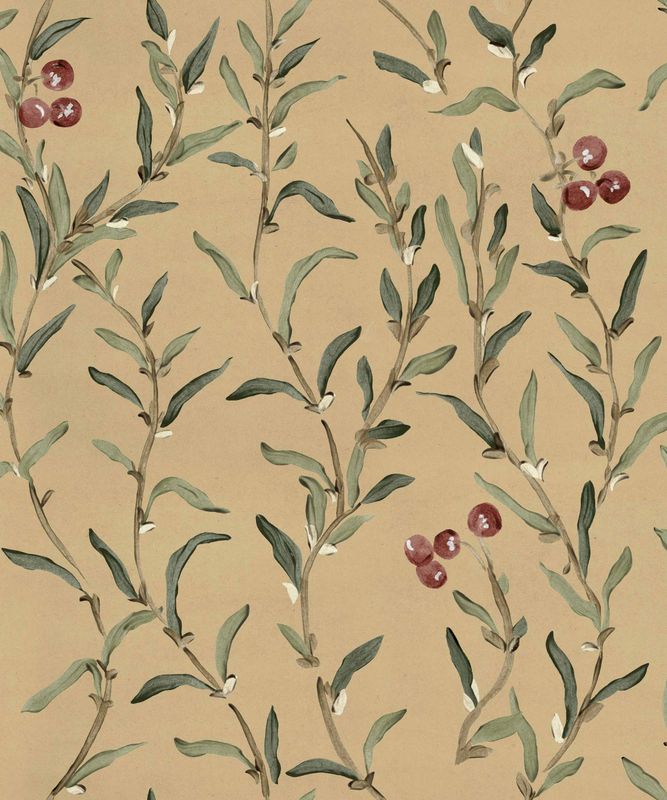 Wild-Blackthorn Sunny