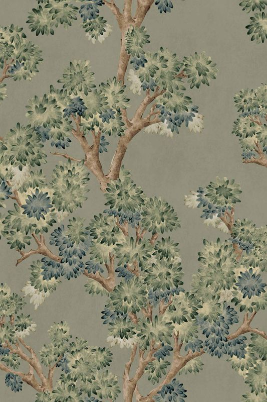 Field-Maple Sage