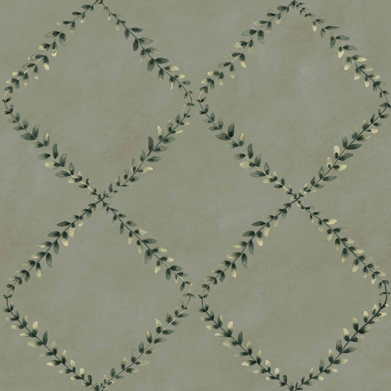 Ivy-Garland Sage