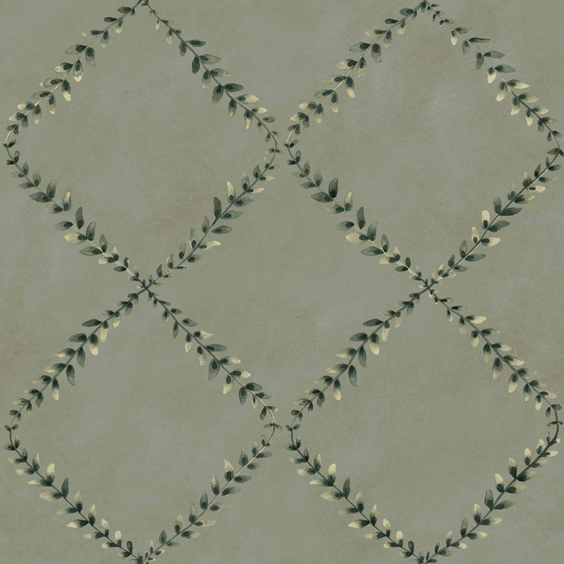 Ivy-Garland Sage