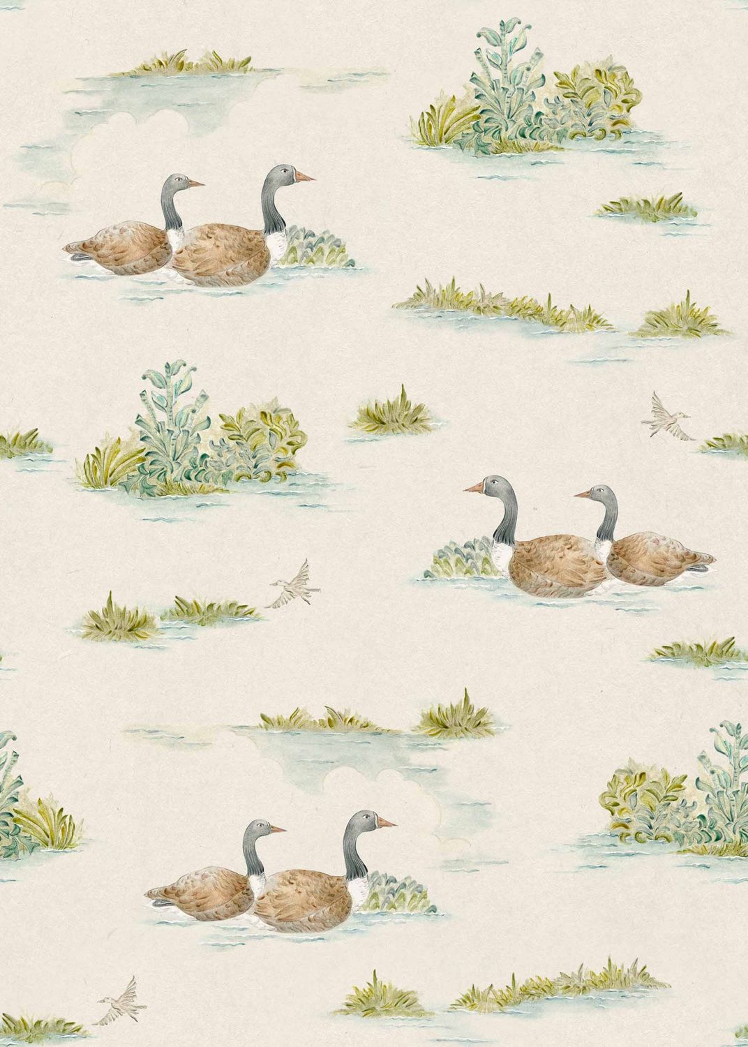 Mallard-Duck Mint