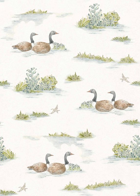 Mallard-Duck Sage