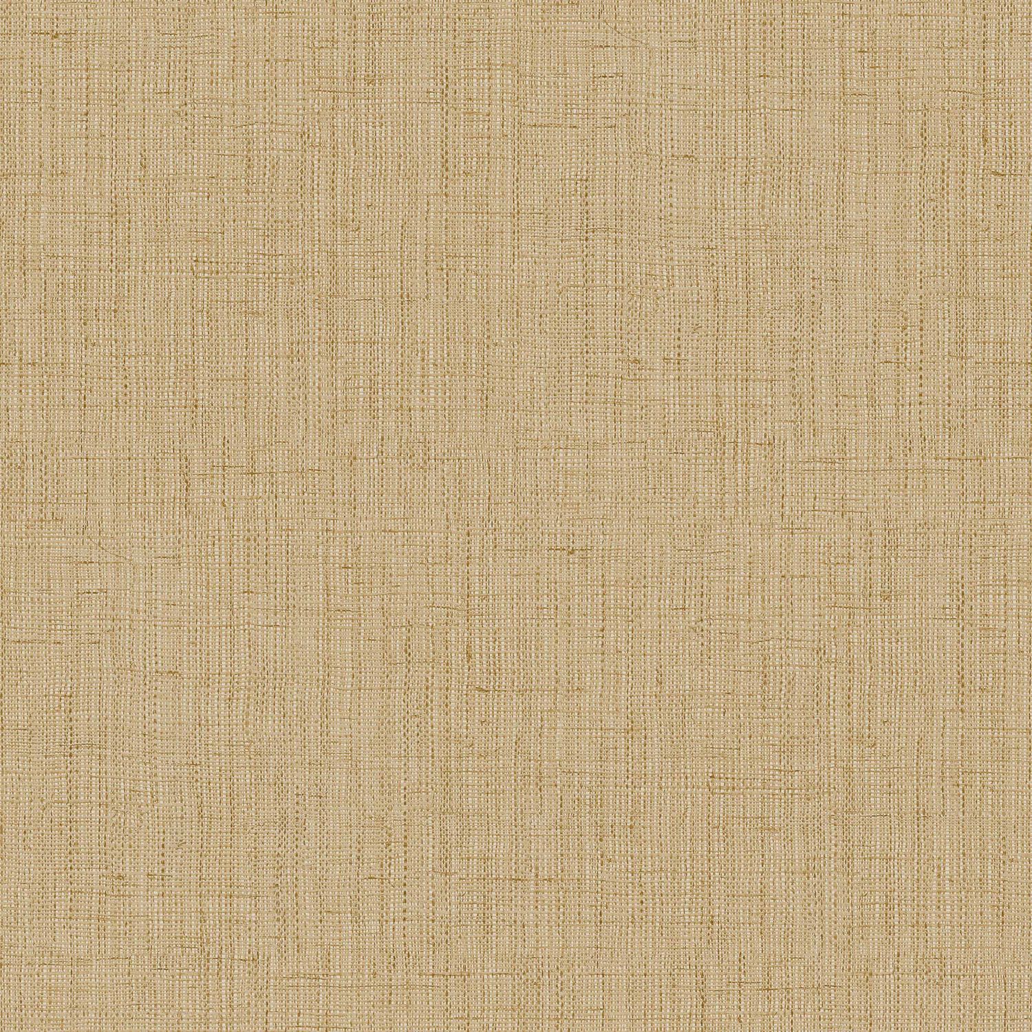 Lino 5