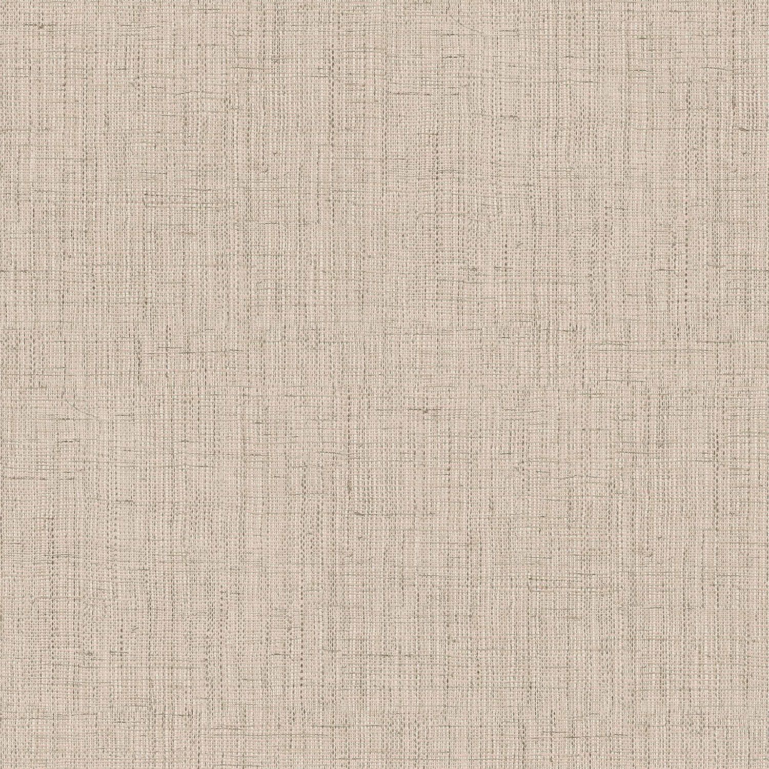 Lino 2