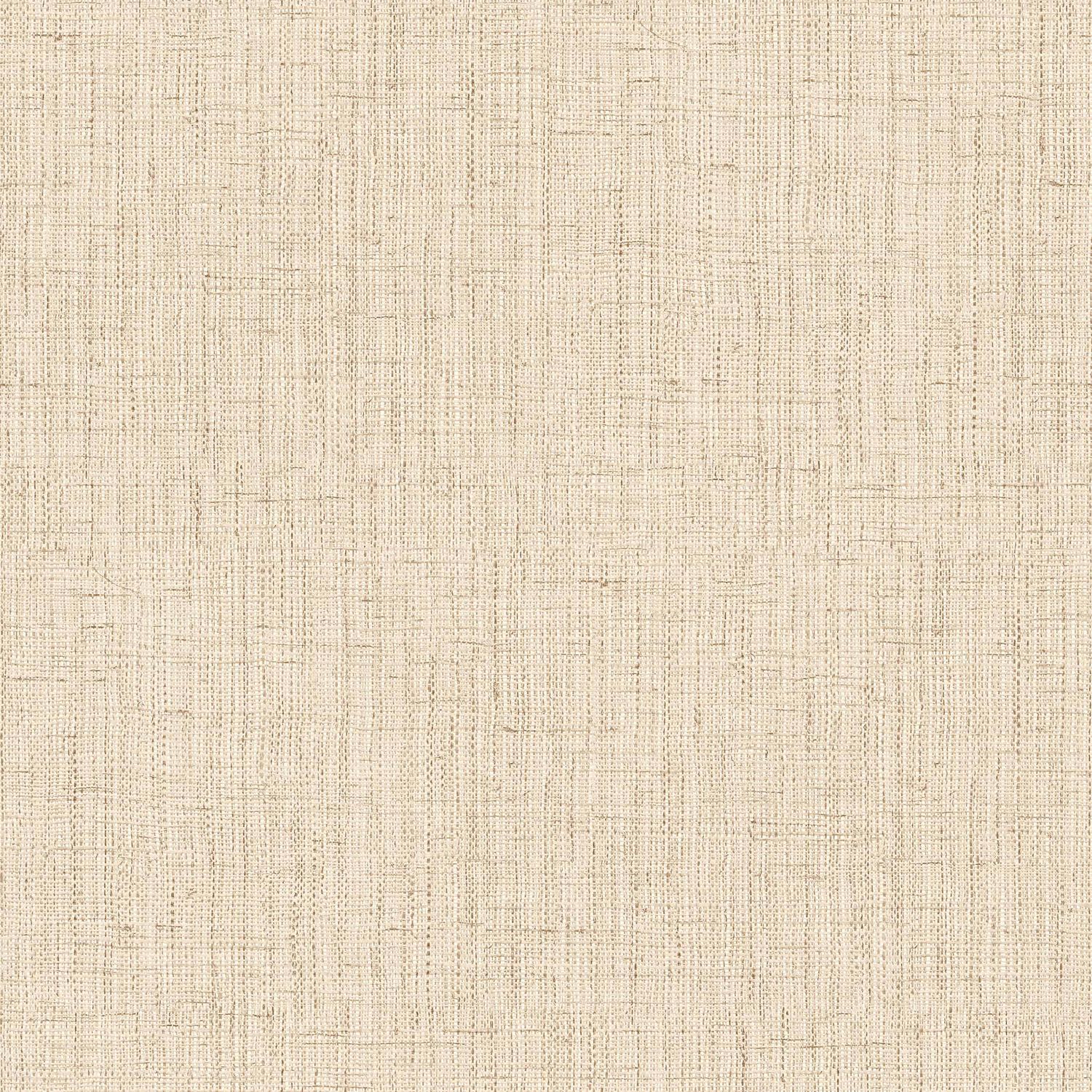 Lino 4
