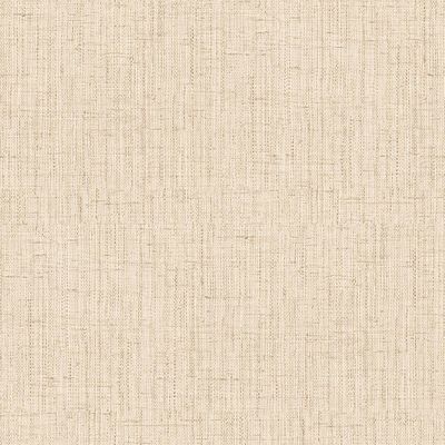 Lino 4