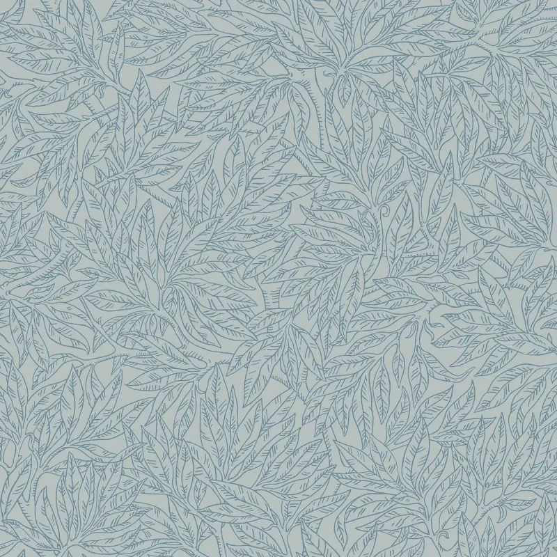 Salix Alba
