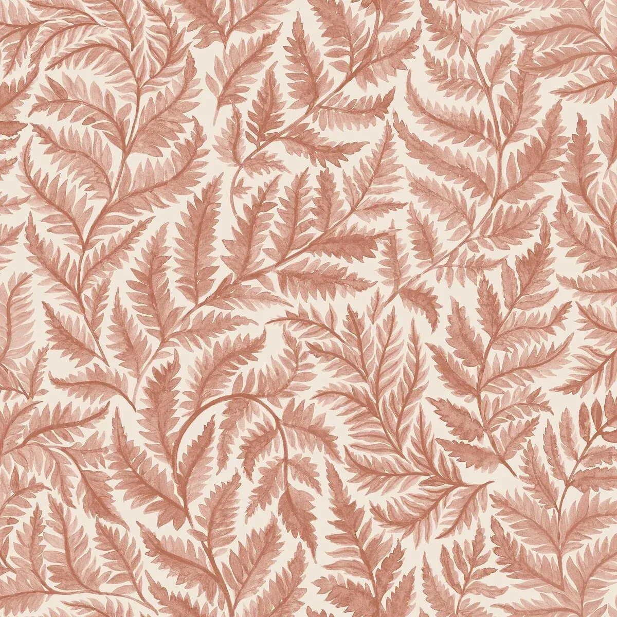 Ferns