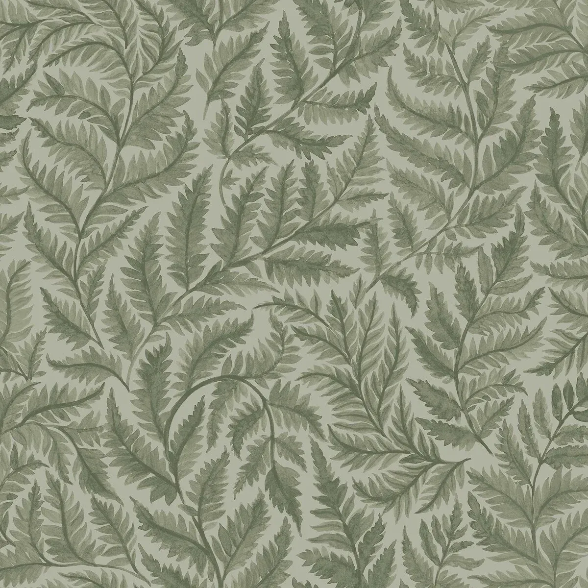 Ferns