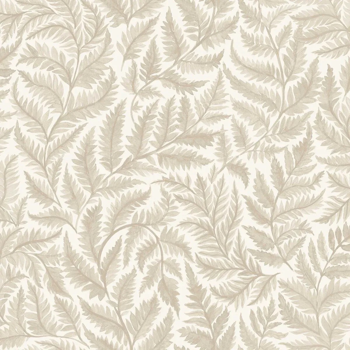 Ferns