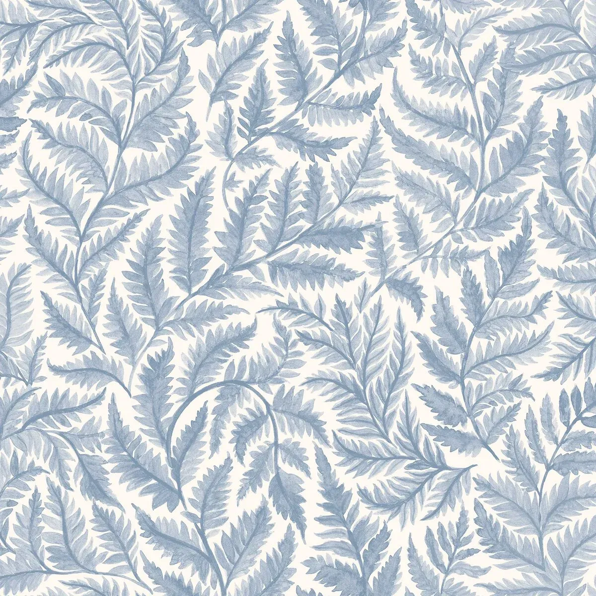 Ferns