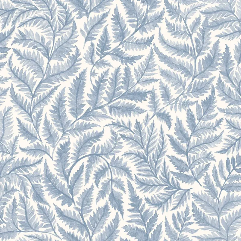 Ferns