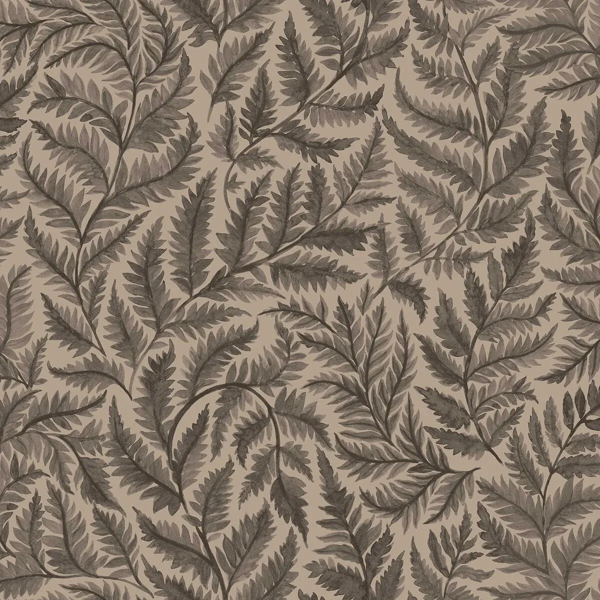 Ferns