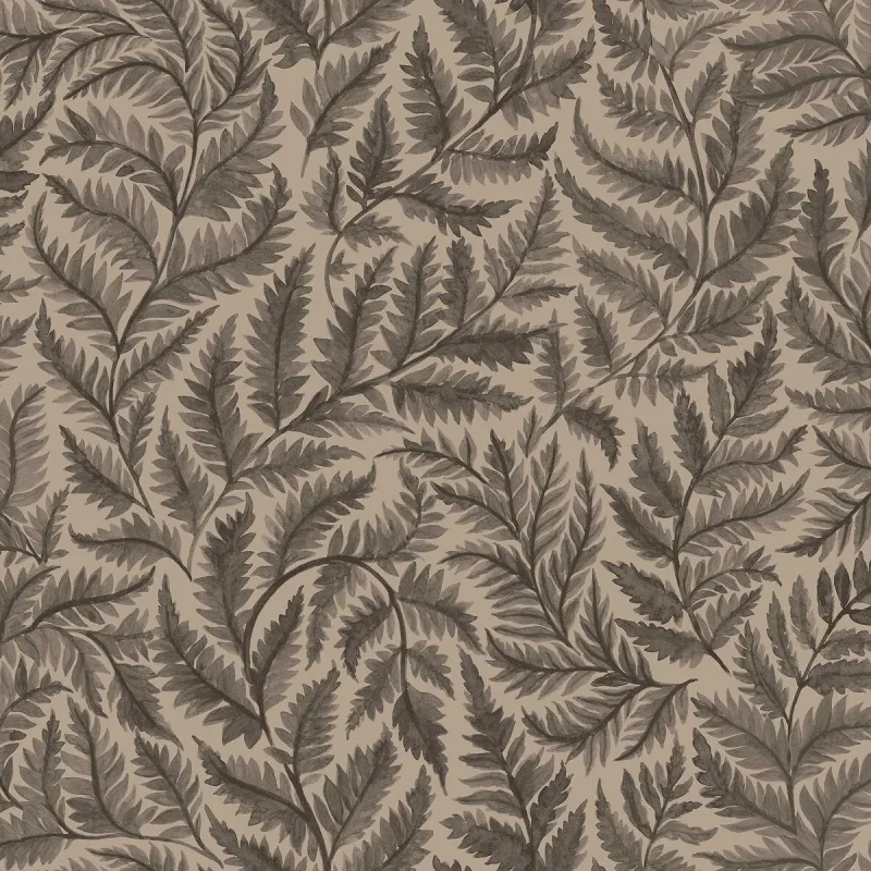 Ferns
