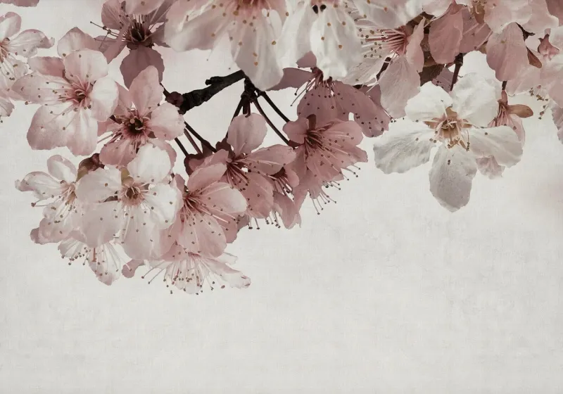 Big Random Flora Pink