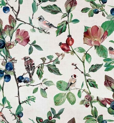 NATURAE by Joana Santamans