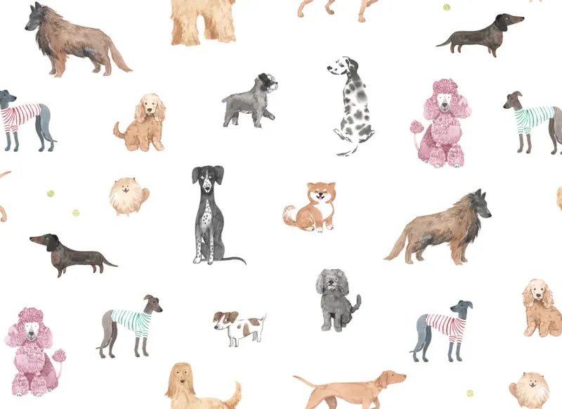 Taiga and Friends, White