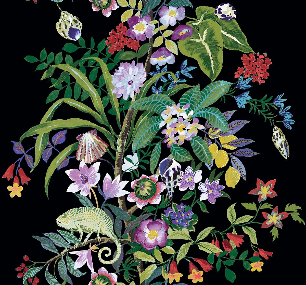 Solmuse Color Caravan