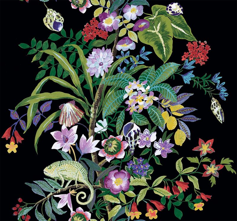 Solmuse Color Caravan