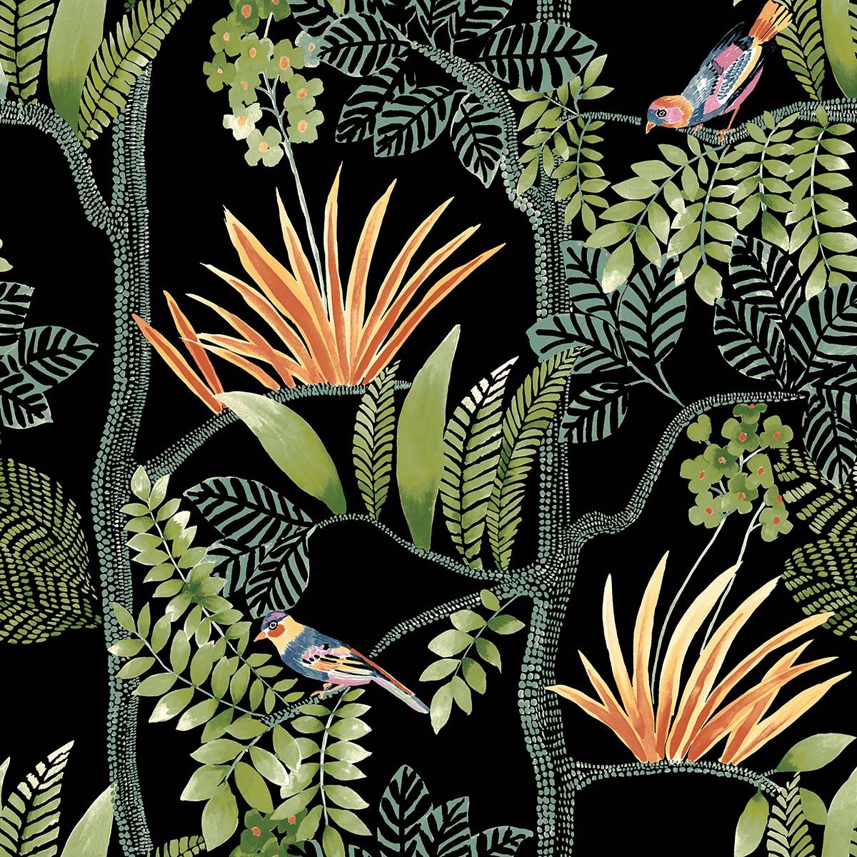 Forest Whim Night Forest