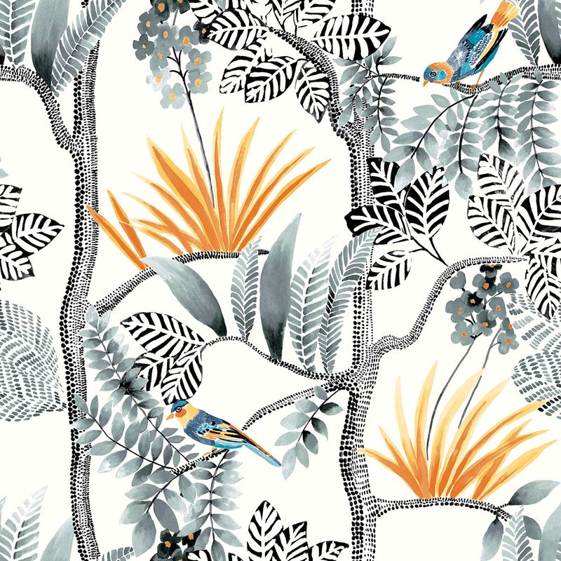 Forest Whim Sun and Rain